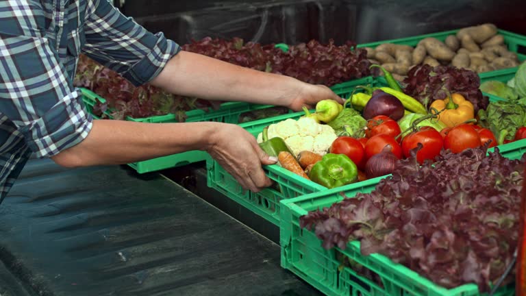 Certains aliments ont une densité nutritionnelle très élevée. Par exemple, le jaune d’œuf est riche en vitamines liposolubles. Ensuite, les légumes